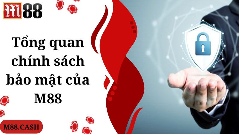 Tổng quan chính sách bảo mật của M88